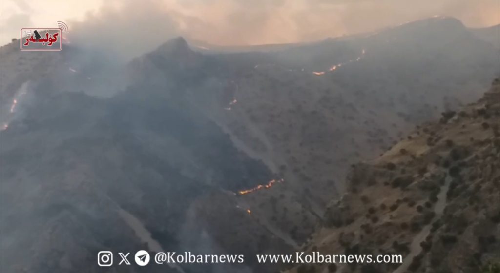 Large Fire in Kurdistan Forests and Meadows; Dozens of Hectares Consumed by Flames