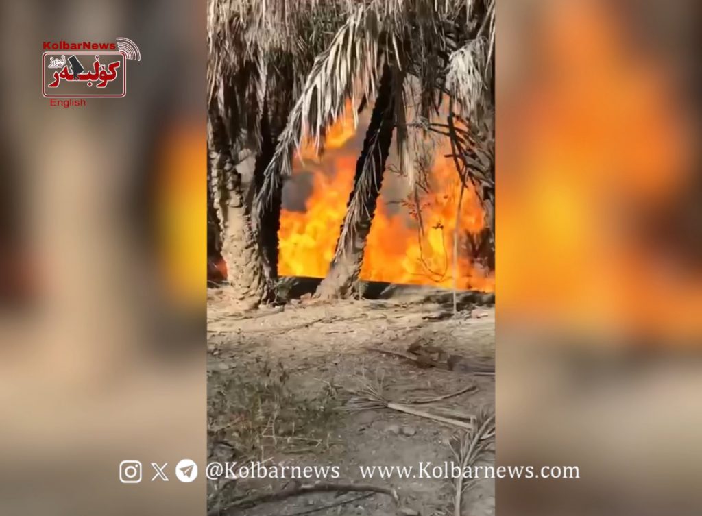 Nikshahr: Fire Damages Orchards and Palm Groves in Kashig Village