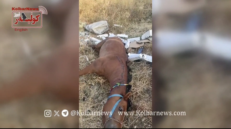 Saqqez: Killing of Several Kolbar’s Horses by Military Forces