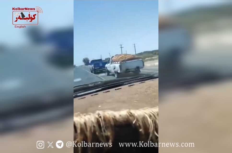 Rigan–Narmashir: Seizing a Sukhtbari Vehicle, Two Occupants Arrested
