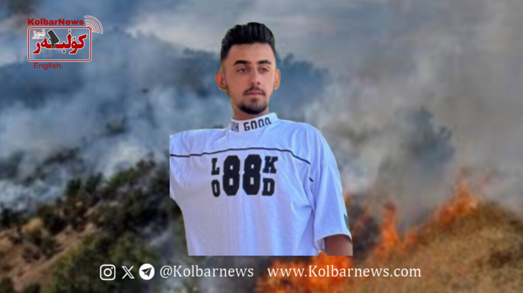 Sanandaj: Citizen Falls Into a Coma While Fighting Marivan Forest Fires